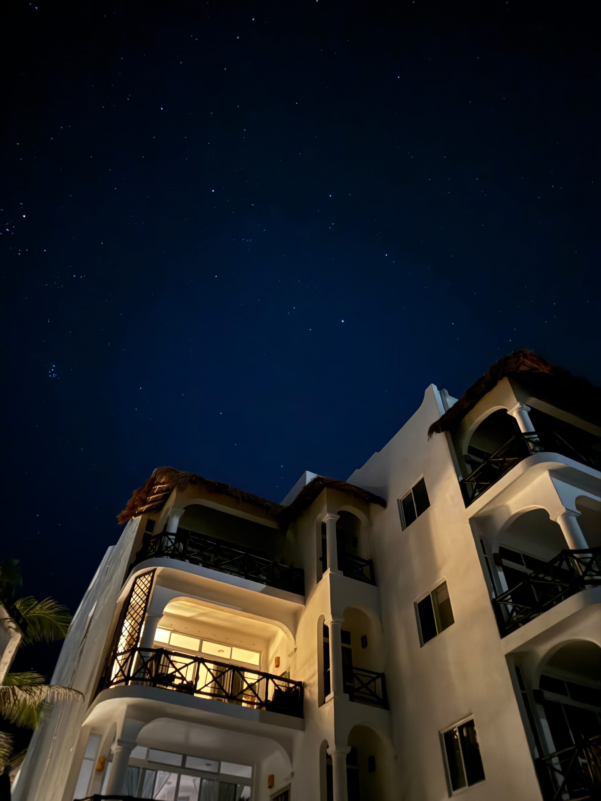 Relaxing on New Year's Day